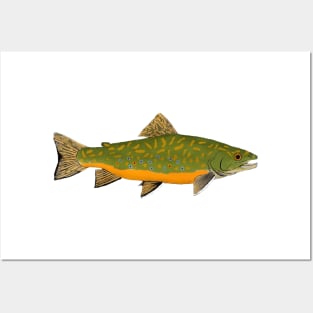 Brook Trout Posters and Art